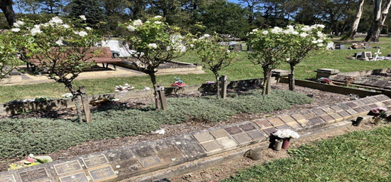 Image of Bowral Cemetery Ash Placement