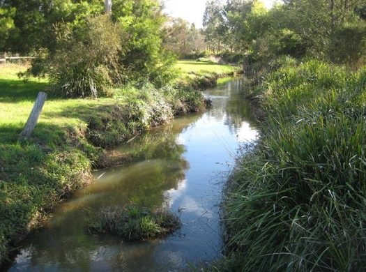 Mittagong Creek