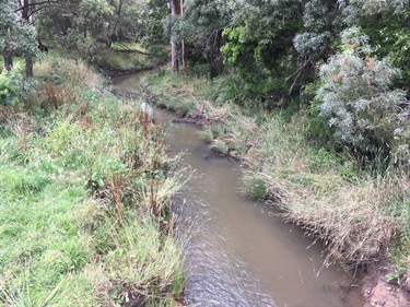 Mittagong Creek Bowral near Mount Road