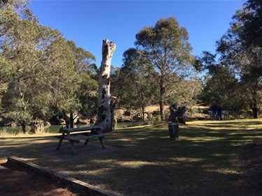 Berrima River Reserve Camping Grounds