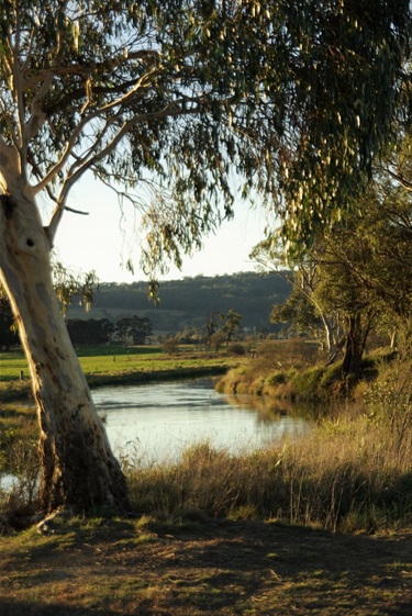 View of Wingecarribee River from Bong Bong Common