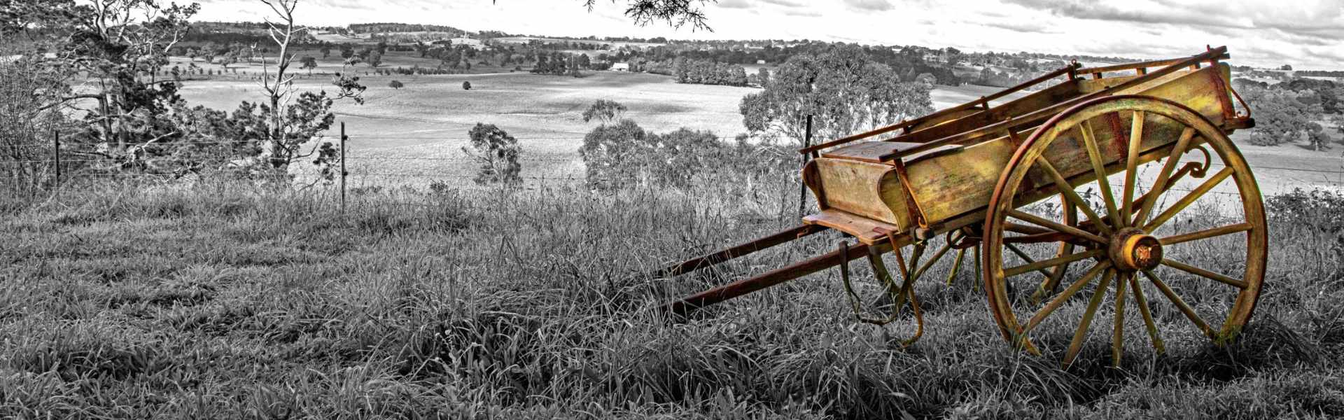 No Time to Spare, Southern Highlands exhibition Wingecarribee Photo by Richard Batterley copyright 2022.jpg