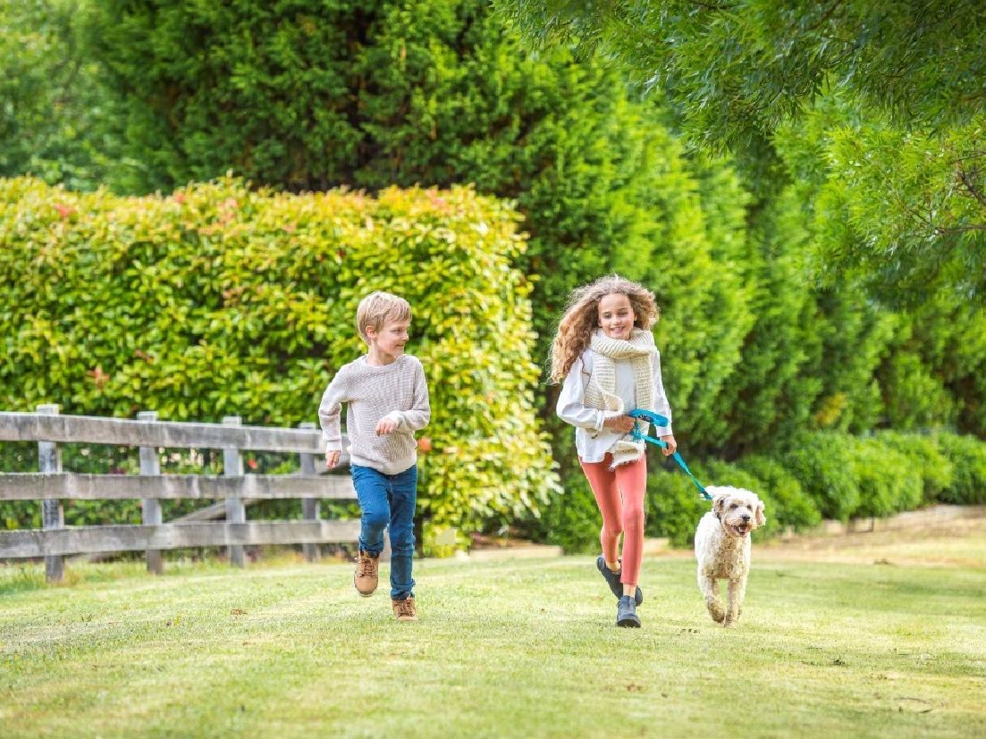 Children running on grass with dog