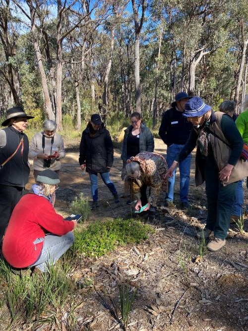 Image of Wingecarribee Land for Wildlife members on a nature walk in 2023 as part of an annual meet-up
