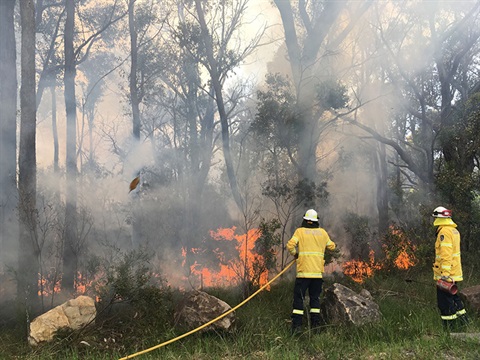 Rural Fire Service RFS volunteer fire fighters backburning in the Southern Highlands