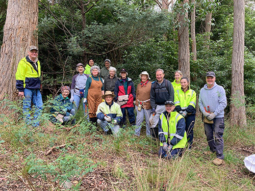 A group of Bushcare volunteers at Mt Gib in 2023