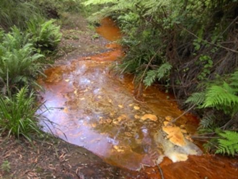 An example of clear brown or reddish water at a local waterway