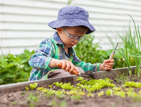 Child in a vegetable garden tending to plants