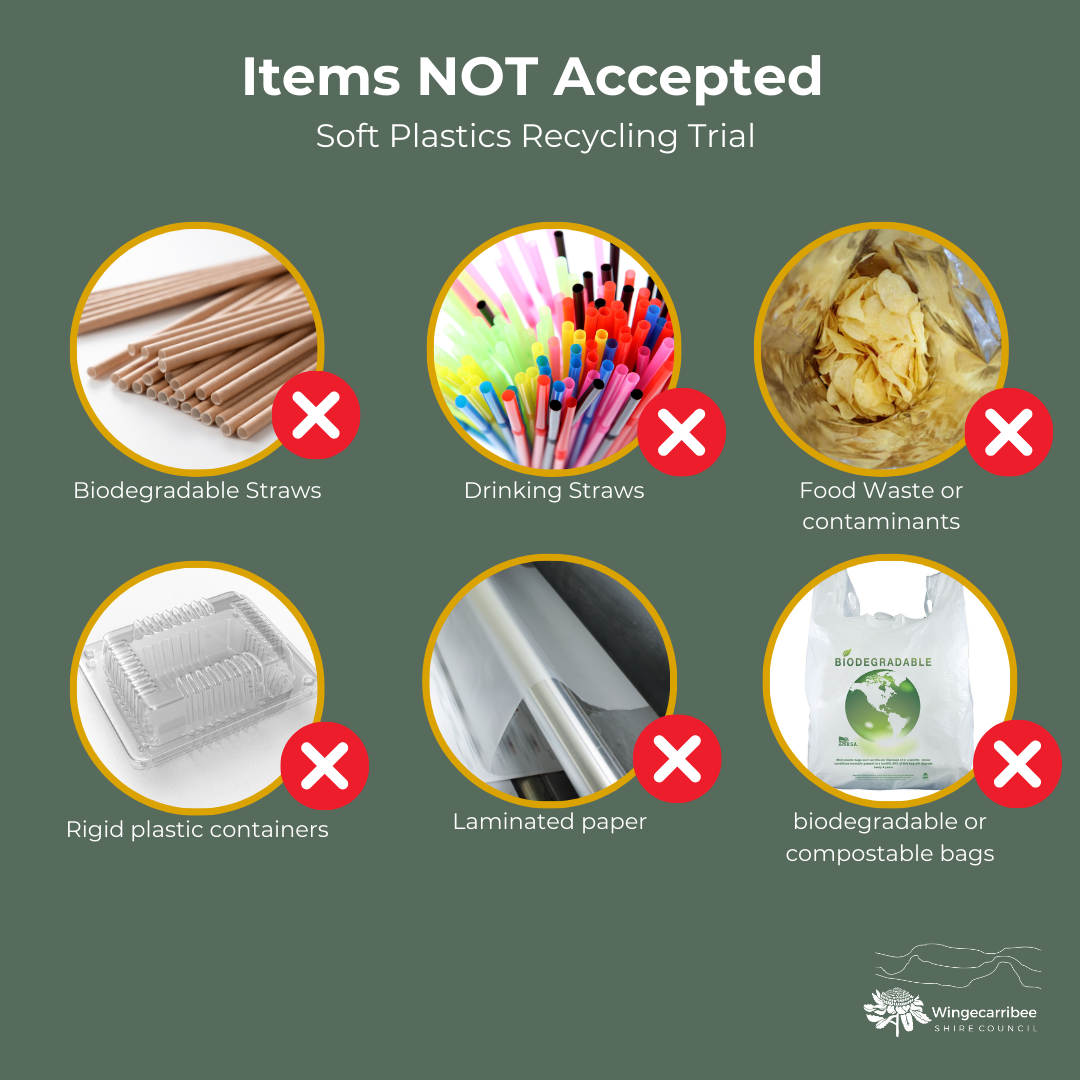 Soft Plastic items NOT accepted
