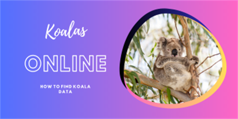 How-to-find-Southern-Highlands-koalas-online