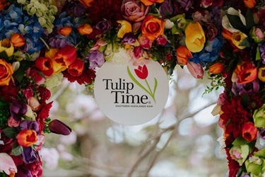 Tulip Time After Dark