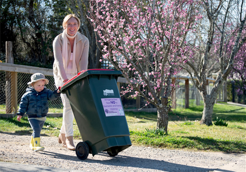 Image of an adult and child taking out their bins