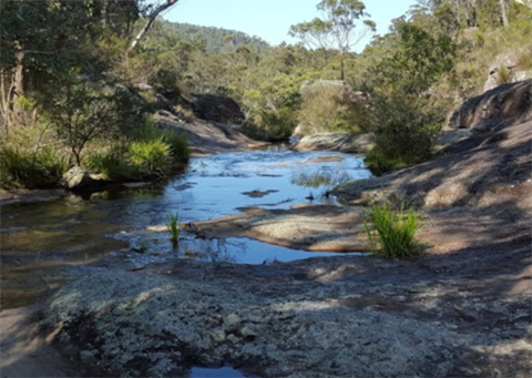 Mount Alexandra Reserve River Area