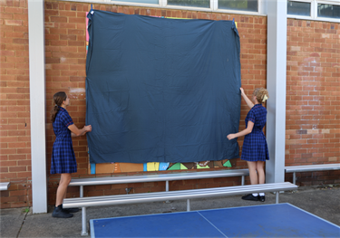 2 Moss Vale High School Students prepare to unveil the mural